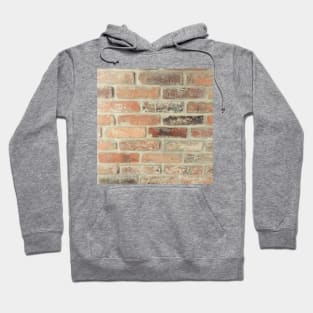 Red brick hipster design Hoodie